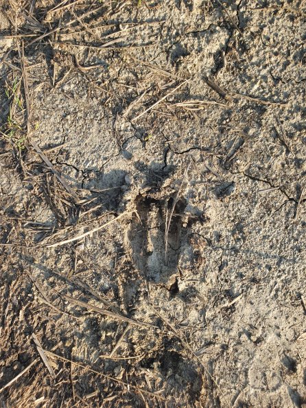 PA_AT_POET_abovefootprintphoto_20220824180718410