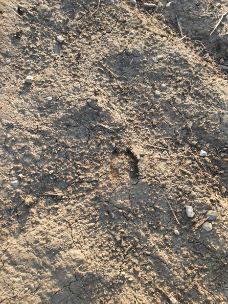 PA_AT_POET_abovefootprintphoto_20220824181900660