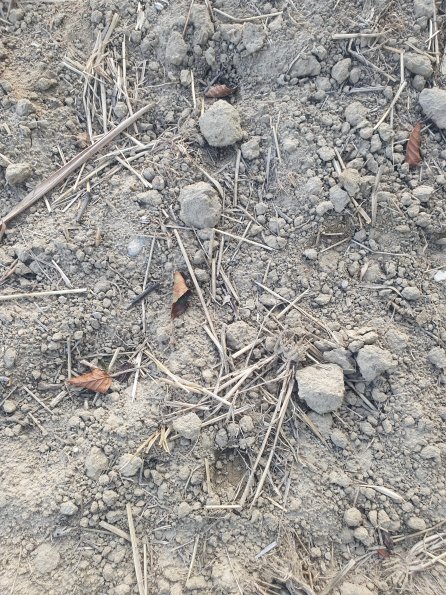 PA_AT_POET_abovefootprintphoto_20220824183432696