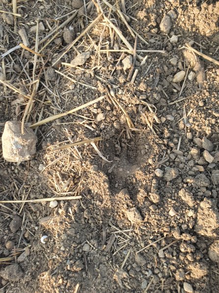 PA_AT_POET_abovefootprintphoto_20220824184200835