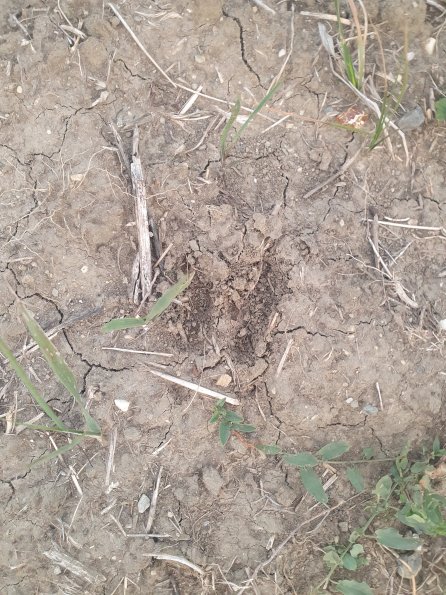 PA_AT_POET_abovefootprintphoto_20220824194351173