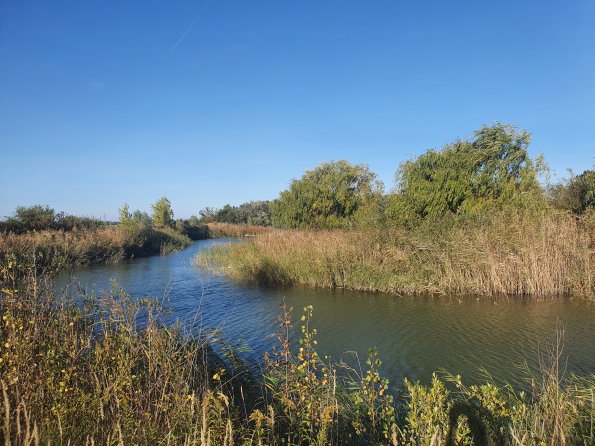 PA_AT_POET_lc-element-photo_20211001161907487