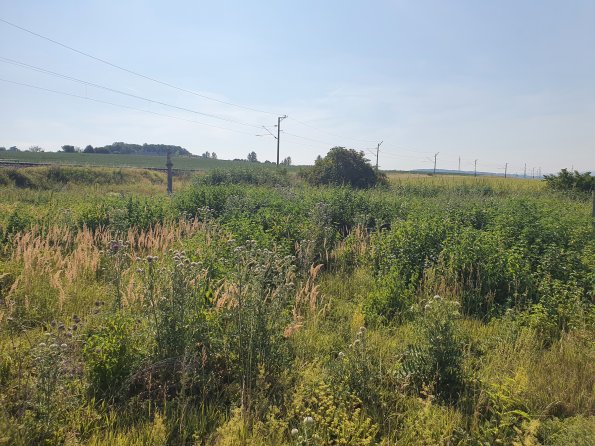 PA_AT_POET_lc-element-photo_20220729094436122