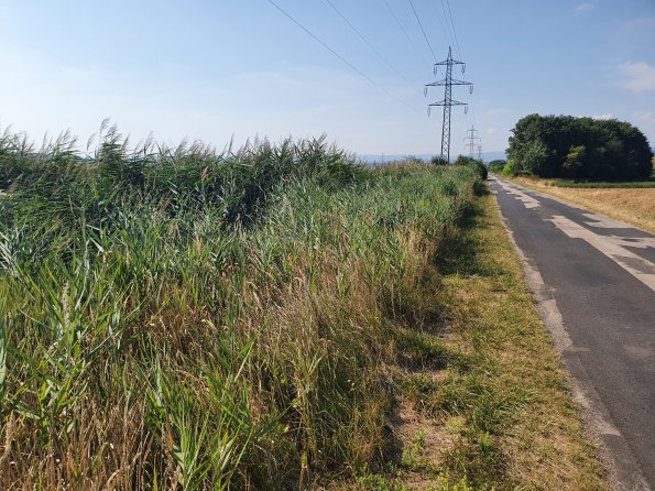 PA_AT_POET_lc-element-photo_20220729094721302