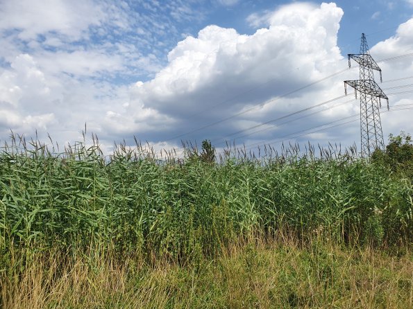 PA_AT_POET_lc-element-photo_20220729130030260