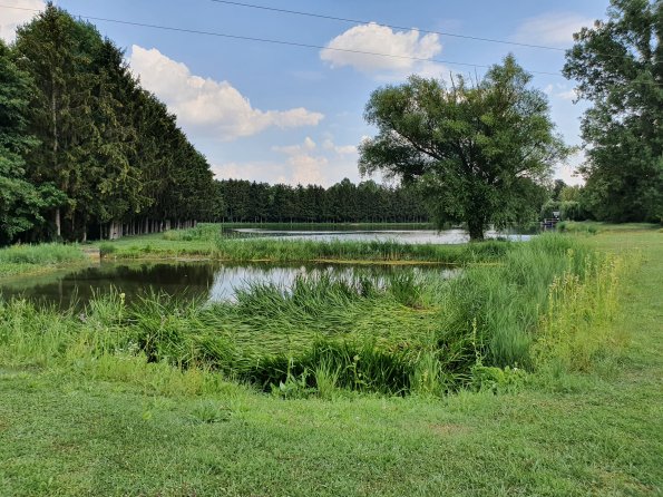 PA_AT_POET_lc-element-photo_20220729140109028