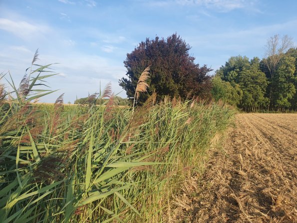 PA_AT_POET_lc-element-photo_20220824183530358