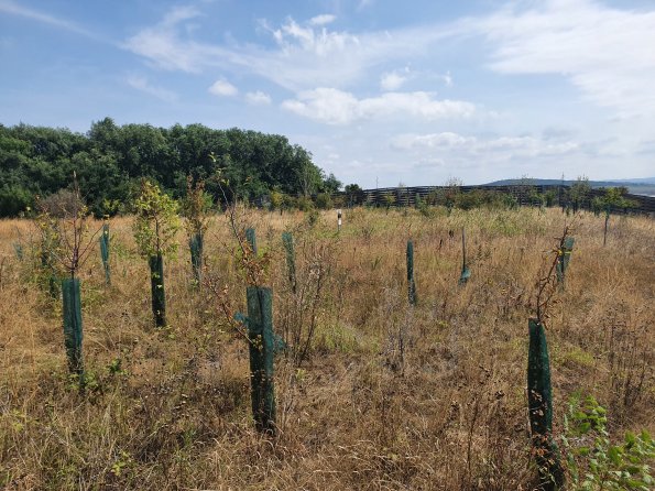 PA_AT_POET_onoverpassphoto_20220824133934714