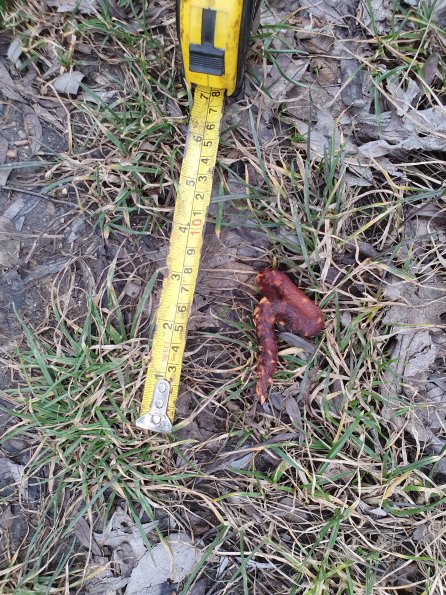 PA_AT_POET_otheractivitysignphoto_20220208153229754