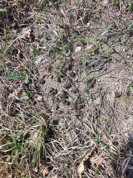 PA_AT_POET_otheractivitysignphoto_20220406125341469