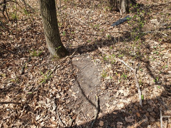 PA_AT_POET_otheractivitysignphoto_20220406130112817