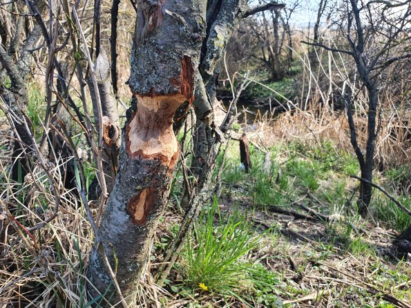 PA_AT_POET_otheractivitysignphoto_20220406134411137