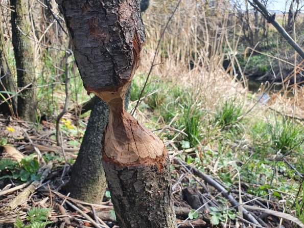 PA_AT_POET_otheractivitysignphoto_20220406134649984