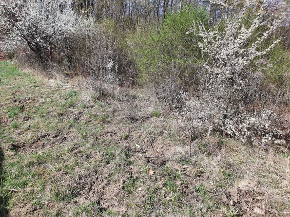 PA_AT_POET_otheractivitysignphoto_20220407103647023