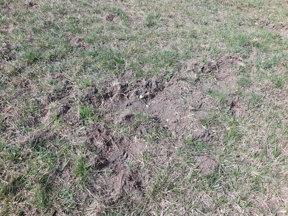 PA_AT_POET_otheractivitysignphoto_20220407112357698