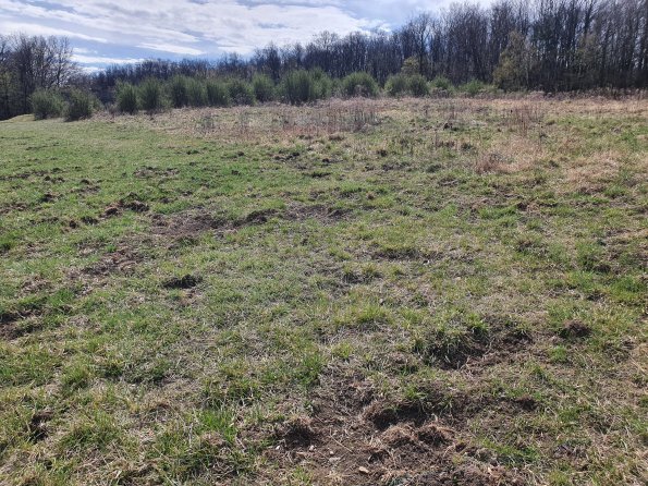 PA_AT_POET_otheractivitysignphoto_20220407112415905