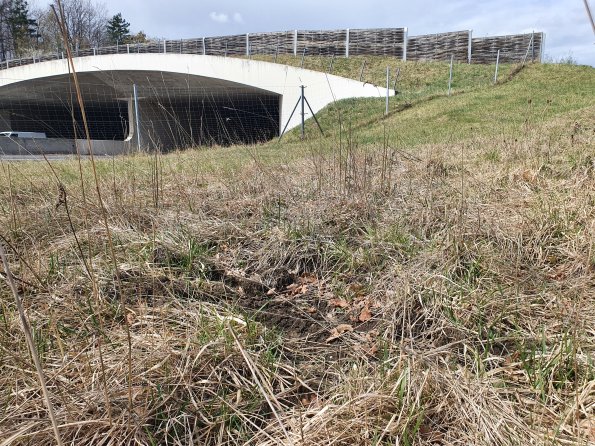 PA_AT_POET_otheractivitysignphoto_20220407112607615