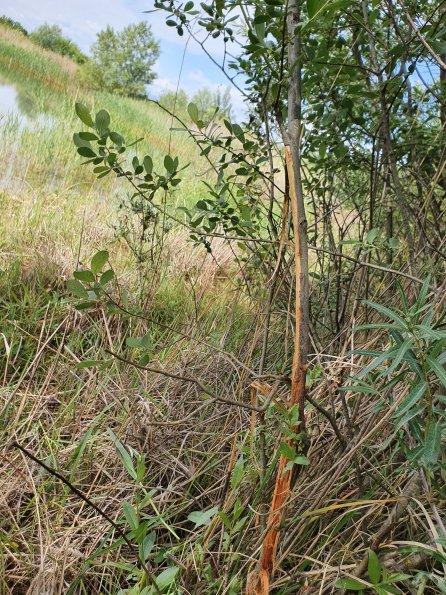 PA_AT_POET_otheractivitysignphoto_20220530101856659