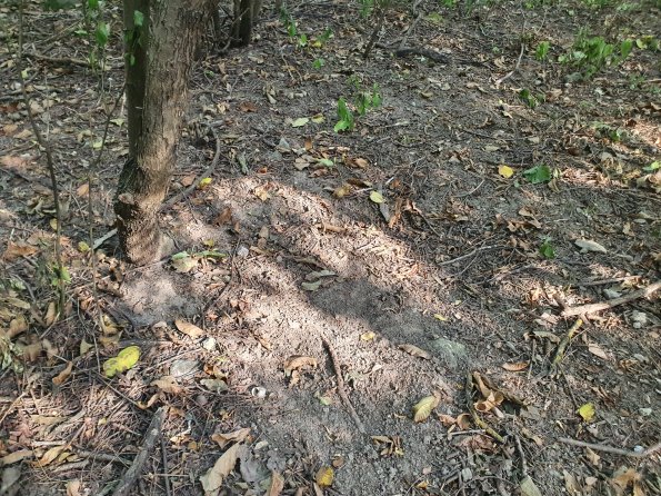 PA_AT_POET_otheractivitysignphoto_20220729084624845