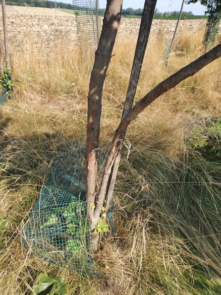 PA_AT_POET_otheractivitysignphoto_20220729093227505