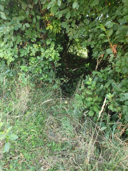 PA_AT_POET_otheractivitysignphoto_20220729105316821