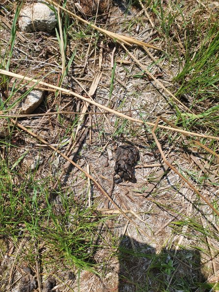 PA_AT_POET_otheractivitysignphoto_20220729110028892