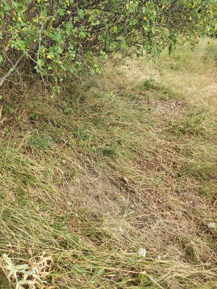 PA_AT_POET_otheractivitysignphoto_20220729115836791