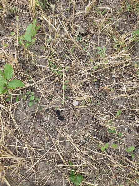 PA_AT_POET_otheractivitysignphoto_20220729120839641