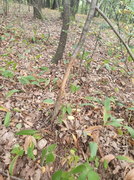 PA_AT_POET_otheractivitysignphoto_20220729151908329