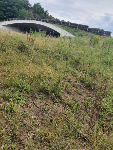 PA_AT_POET_otheractivitysignphoto_20220729153959632