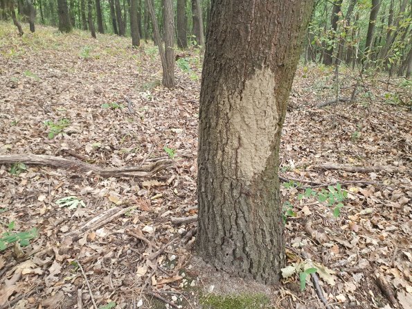 PA_AT_POET_otheractivitysignphoto_20220729155408226