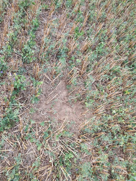 PA_AT_POET_otheractivitysignphoto_20220729184812575