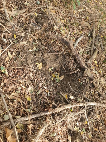 PA_AT_POET_otheractivitysignphoto_20220823171958737