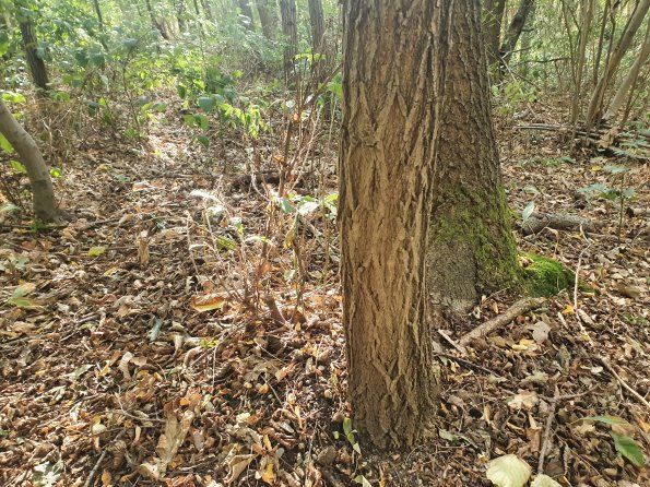 PA_AT_POET_otheractivitysignphoto_20220823172433366