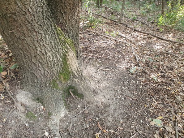 PA_AT_POET_otheractivitysignphoto_20220823172707811