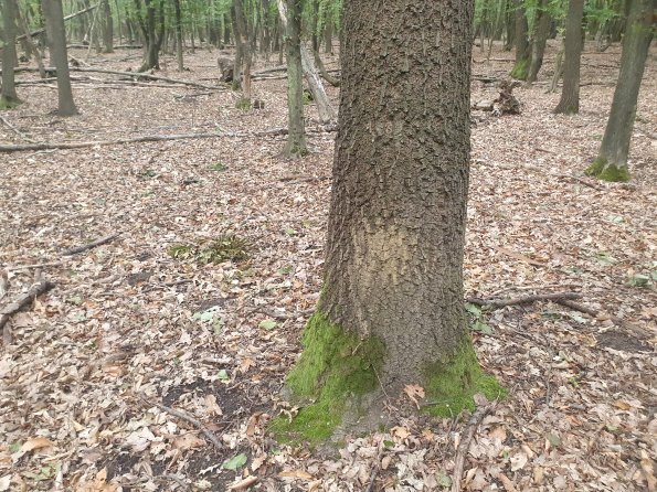 PA_AT_POET_otheractivitysignphoto_20220823182619281