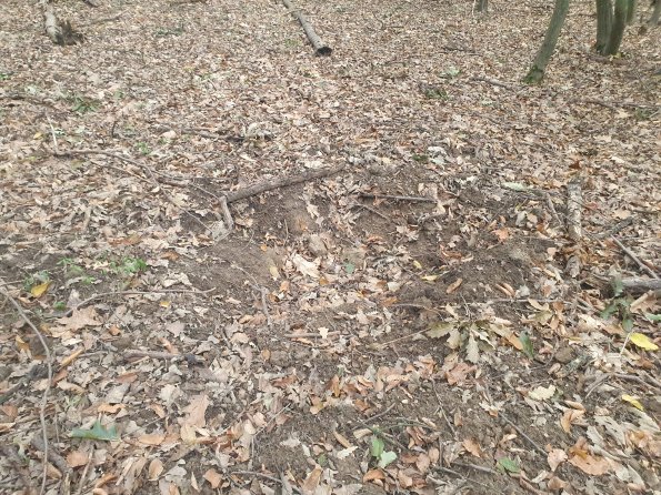 PA_AT_POET_otheractivitysignphoto_20220823182755449