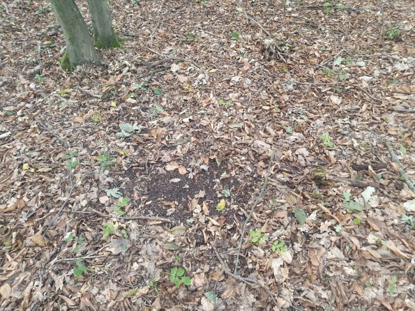 PA_AT_POET_otheractivitysignphoto_20220823183327095