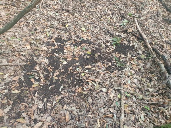 PA_AT_POET_otheractivitysignphoto_20220823185145439