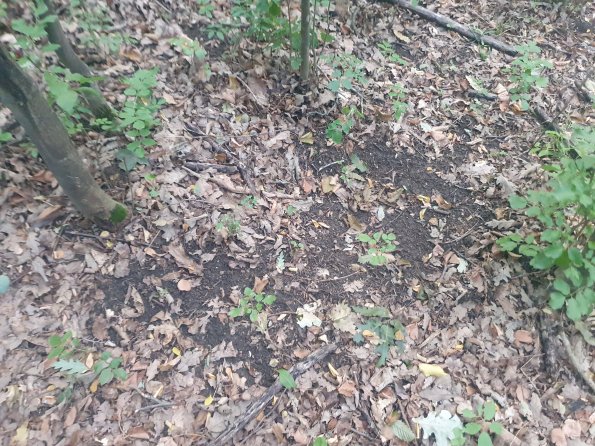 PA_AT_POET_otheractivitysignphoto_20220823185846021