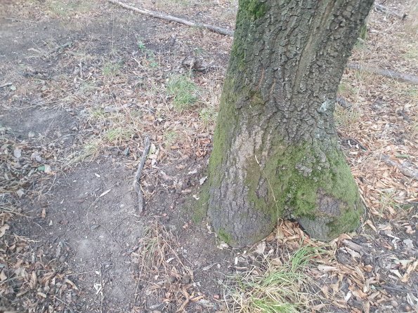 PA_AT_POET_otheractivitysignphoto_20220823190614546