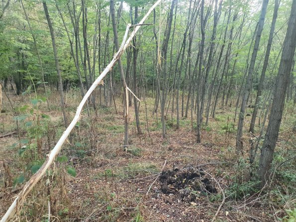 PA_AT_POET_otheractivitysignphoto_20220823190832483