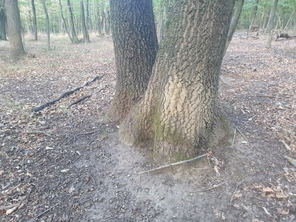 PA_AT_POET_otheractivitysignphoto_20220823190949553