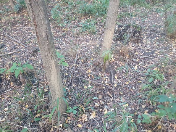 PA_AT_POET_otheractivitysignphoto_20220823191302531