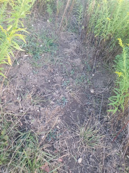 PA_AT_POET_otheractivitysignphoto_20220823191711254