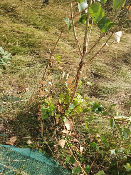 PA_AT_POET_otheractivitysignphoto_20220824103121169