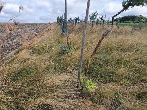 PA_AT_POET_otheractivitysignphoto_20220824105606552