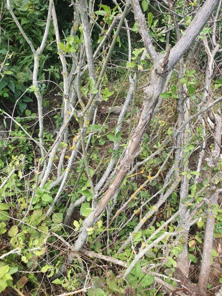 PA_AT_POET_otheractivitysignphoto_20220824121007057