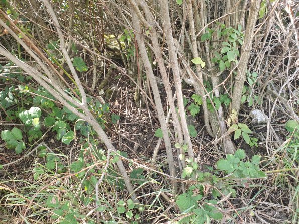 PA_AT_POET_otheractivitysignphoto_20220824122659667