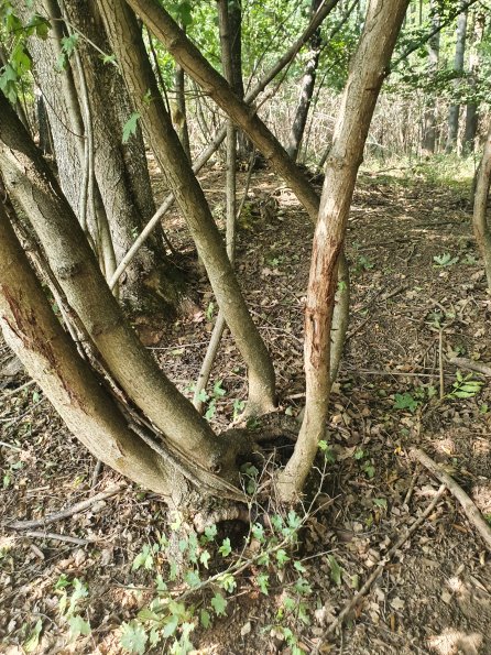 PA_AT_POET_otheractivitysignphoto_20220824145723012